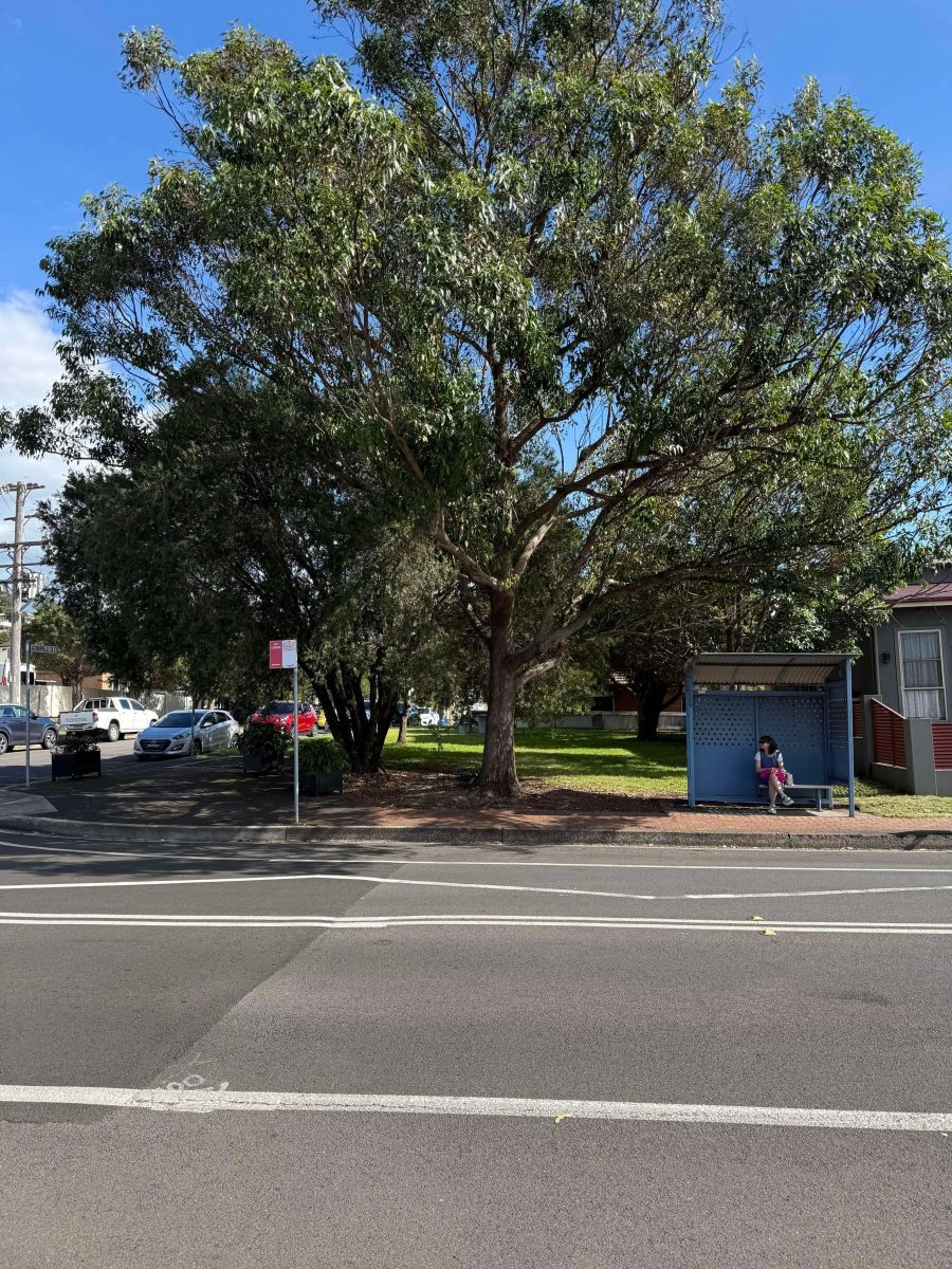 The Cringila community is up in arms over the proposed sale of this tree-covered, green block on the corner of Gorrell Street and Lakeview Parade.