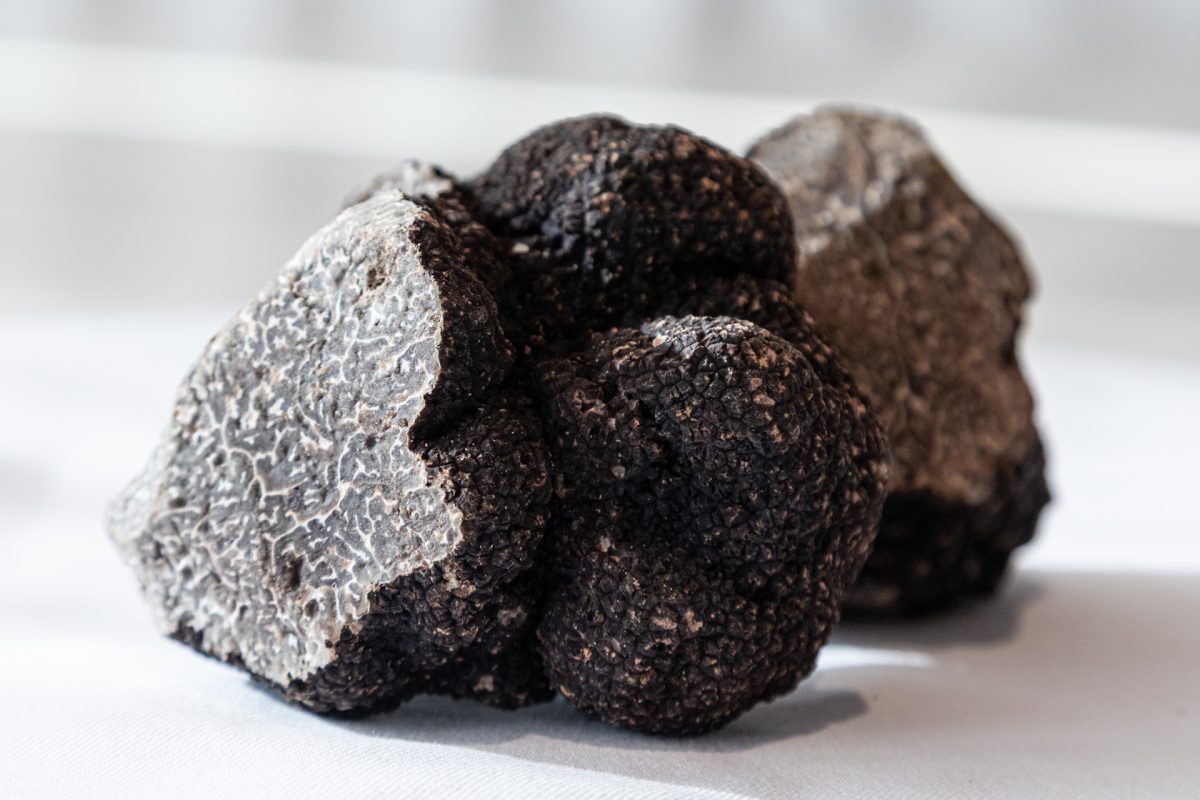 Close up of black truffle