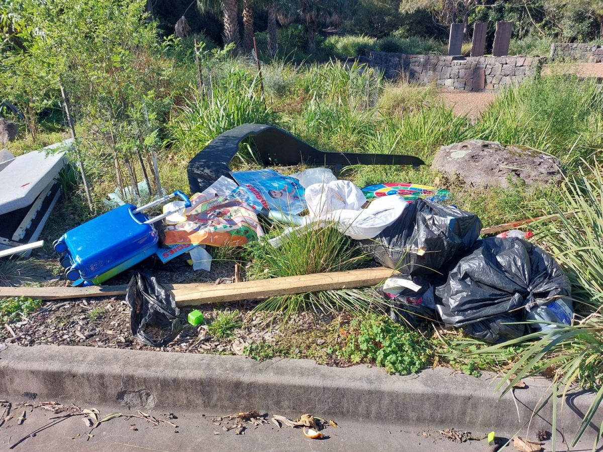 Rubbish dumped in park