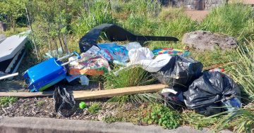 Shameless 'grubs' trash a site sacred to Mt Kembla's tragic past