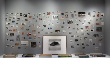 Australia's most iconic photograph reimagined to have dreams of its own