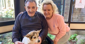 How a lost dog sparked a lifelong mission to help the homeless