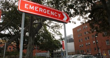 Wollongong ED posts positive figures, despite surge in ambulance arrivals