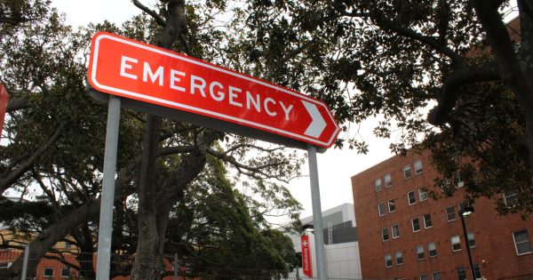 Wollongong ED posts positive figures, despite surge in ambulance arrivals