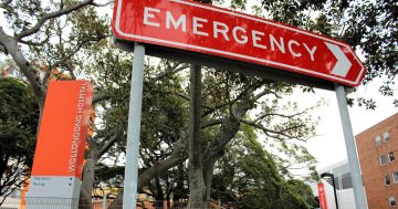 Wollongong ED patients stuck waiting for hospital admission or transfers, report finds