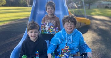 Here's what local playgrounds might look like if our kids had a say