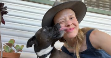 A howl lot of feeling: new Merrigong X play lets all the emotions off-leash