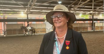 Hidden Treasures Honour Roll unearths Illawarra gems