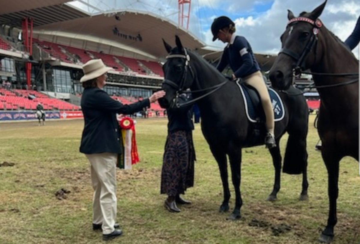Kay Brennan Kiama Pony Club