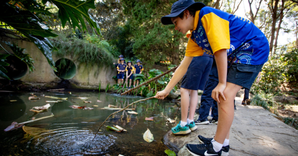 Wollongong kids to grow their skills in nature's perfect classroom