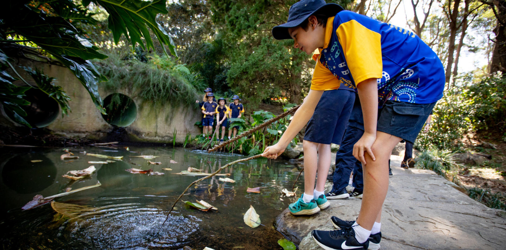 Wollongong Botanic Gardens offers nature's perfect classroom.