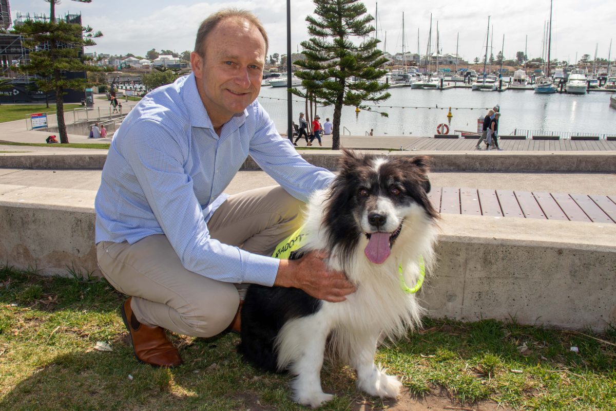 Man pats dog