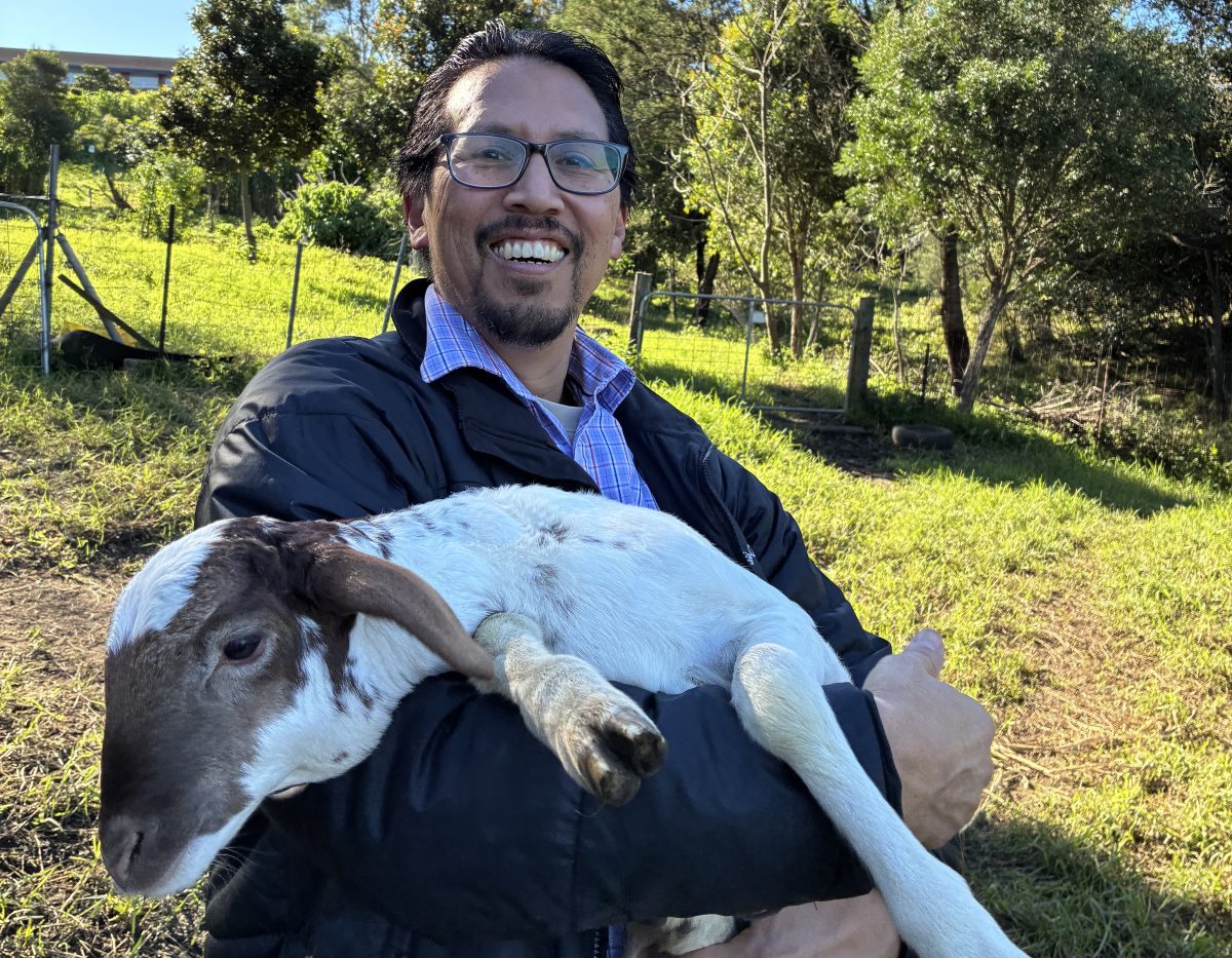 Green Connect CEO Robert Servine holds a lamb