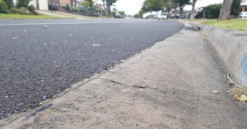 Shellharbour councillors take the wheel after road repair concerns
