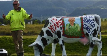 Holy cow! Scott Parker honoured for 15 years of udderly iconic Turfco art