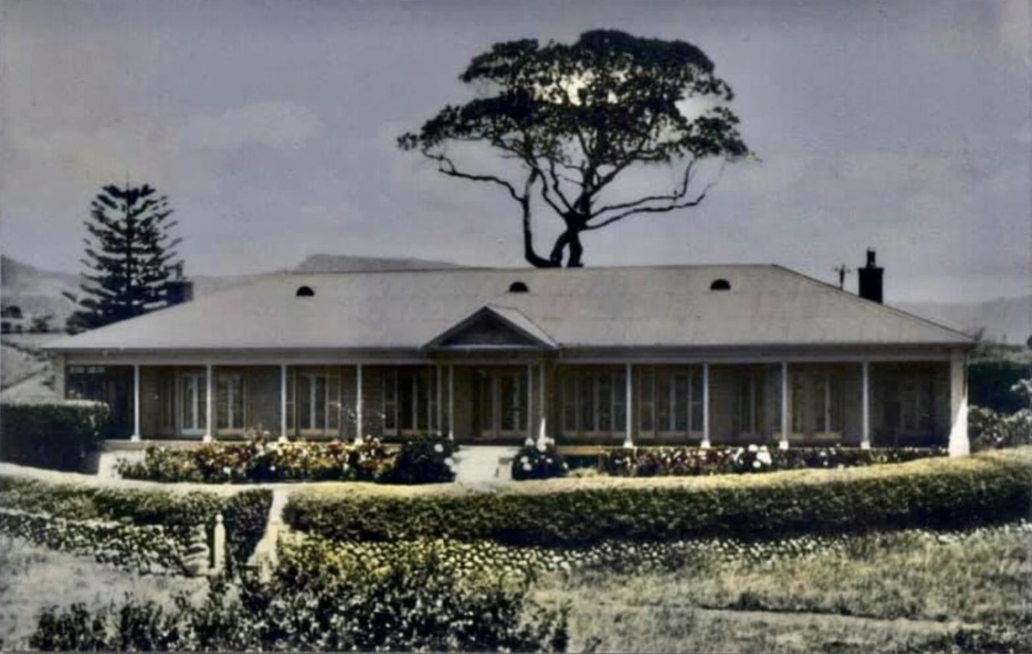 Old house with tree behind it