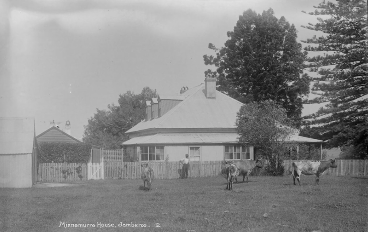 Tall trees around old house