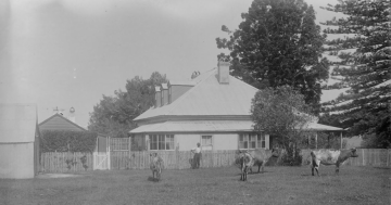 Love them or loathe them, these Illawarra landmarks have stood the test of time