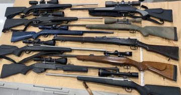 Immediate gun law reforms promised in the wake of Bondi tragedy