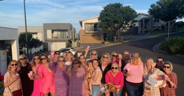 Shellcove Wine Tours Charity Day returns with peace, love and pinot