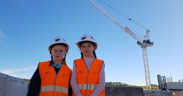 Comedy wins in naming of two cranes helping build new Shellharbour Hospital