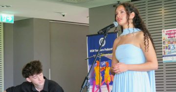 Southern Stars celebrates 25 years of unlimited talent