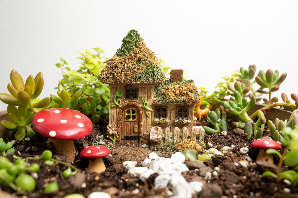 Fairy garden