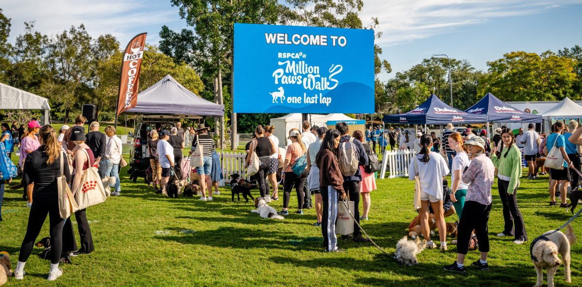 people and dogs at RSPCA Million Paws Walk