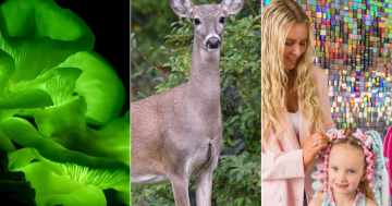 QUIZ: What do you know about our great outdoors? Plus 9 other questions