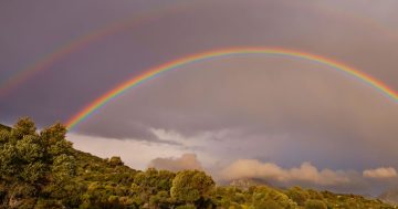 Letter from the Editor: Death reminds us to hold onto things that money can't buy, like love and rainbows