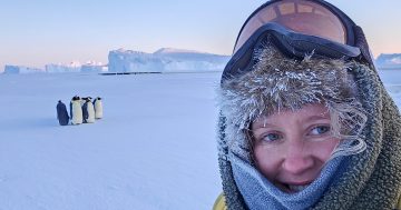 What's it like living in Antarctica? This Wollongong engineer can tell you
