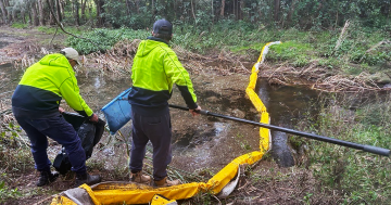 Shellharbour’s natural spaces under threat from illegal dumping