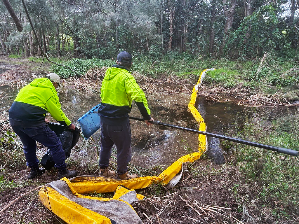 Creek clean up