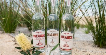 Dharawal Distilling Co shaking up spirits with South Coast native botanicals