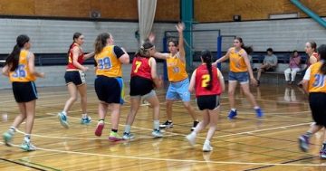 Free Shellharbour basketball clinic for girls hopes to spur long-time participation