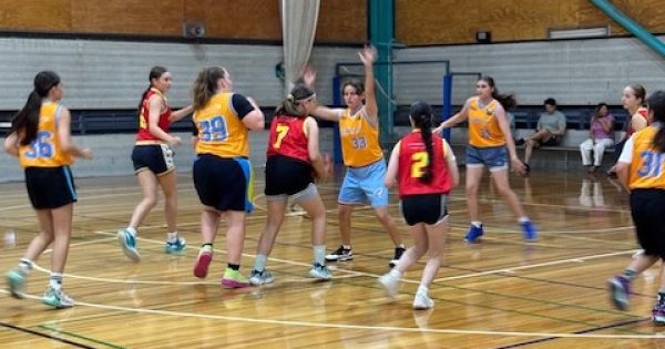 Free Shellharbour basketball clinic for girls hopes to spur long-time participation