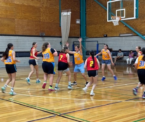 Shellharbour Bulls girls league.