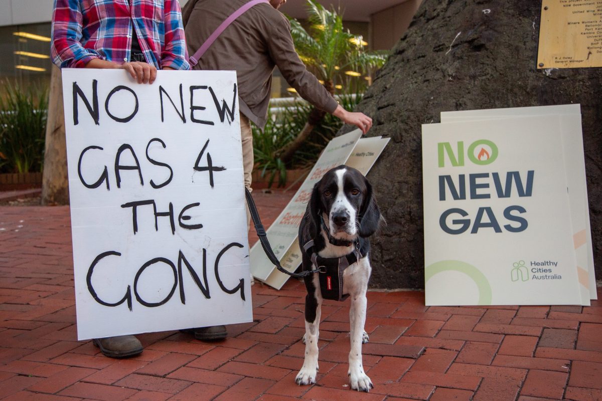 A dog stands next to a rally sign for no new gas