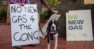 'Lungs on the line': Wollongong petition pushes for electrification