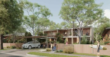 Housing designs for $1 that only take 10 days to approve