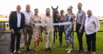 Illawarra Rotary clubs saddle up to raise funds through major annual race day