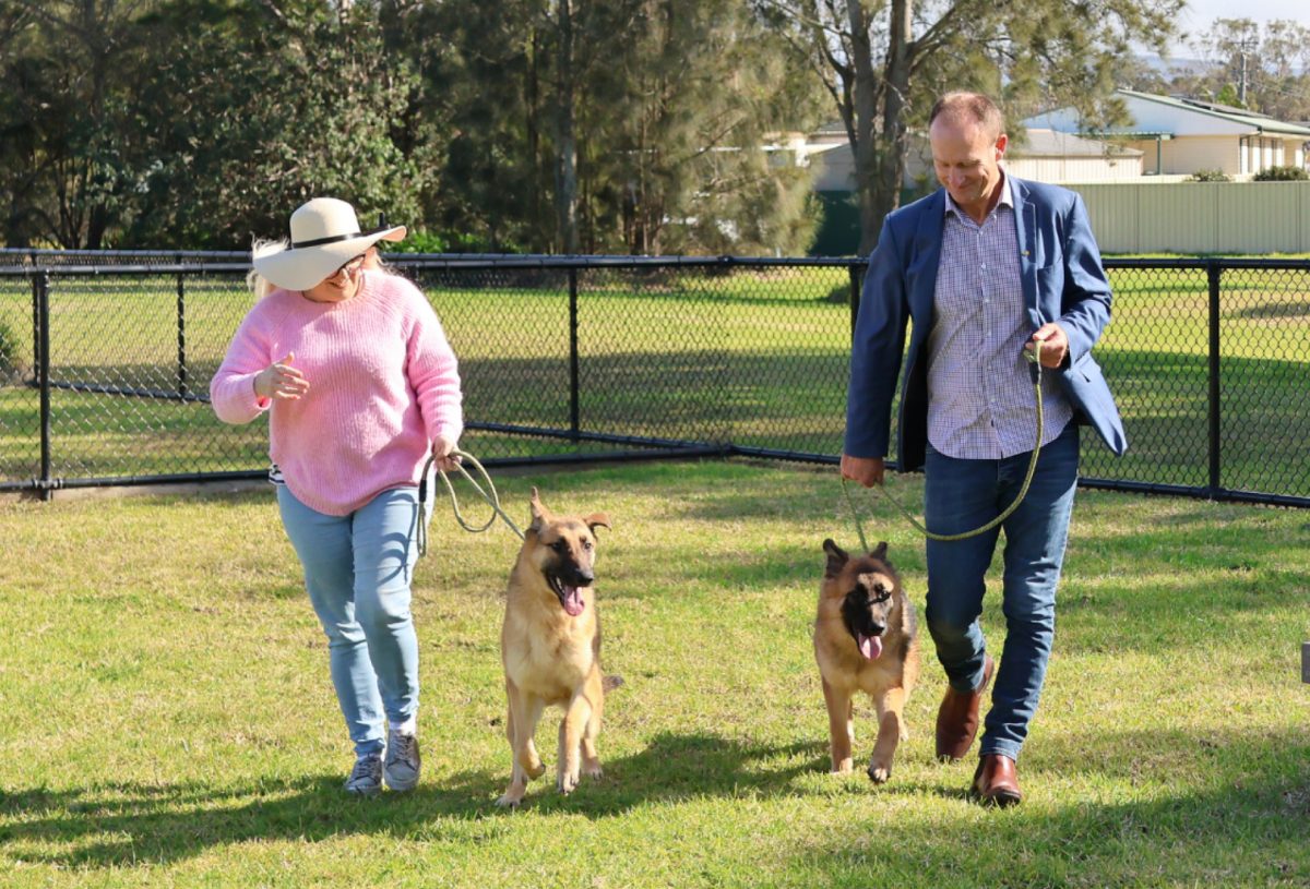 Shellharbour Lost Dog Register