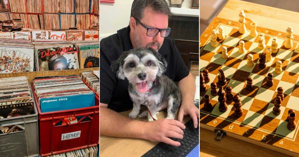 QUIZ: Which dog breed is most likely to get the runs? Plus 9 other questions
