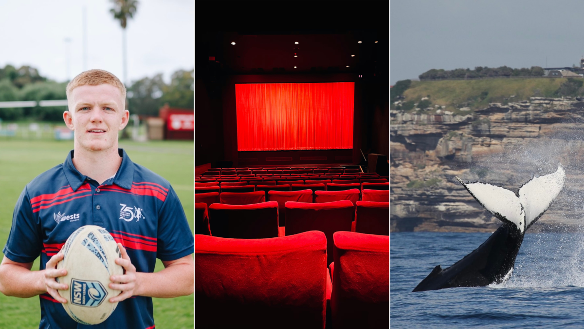 boy with football, cinema, whale