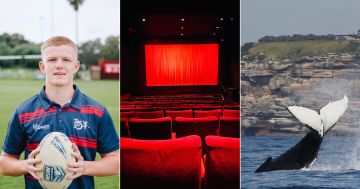 QUIZ: Do you know Illawarra's Hollywood connection? Plus 9 other questions