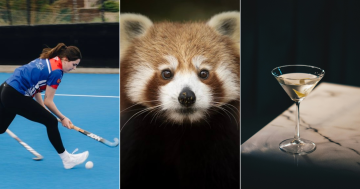 QUIZ: How well do you know unusual animals? Plus 9 other questions