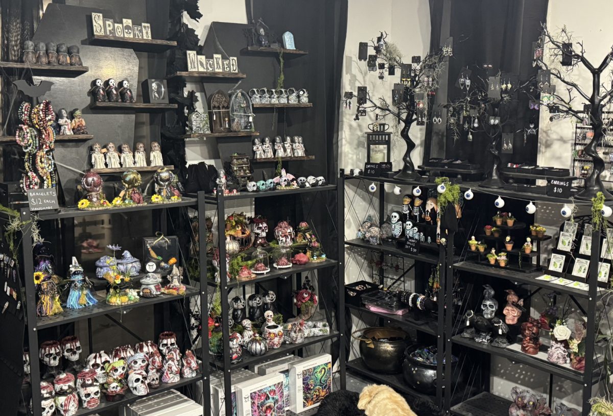 Veja Du Studio