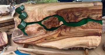 How Woodshed Slab is transforming invasive trees into stunning kitchen boards