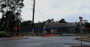 Mt Ousley Interchange work closes footbridge, native trees relocated