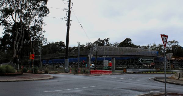 Mt Ousley Interchange work closes footbridge, native trees relocated